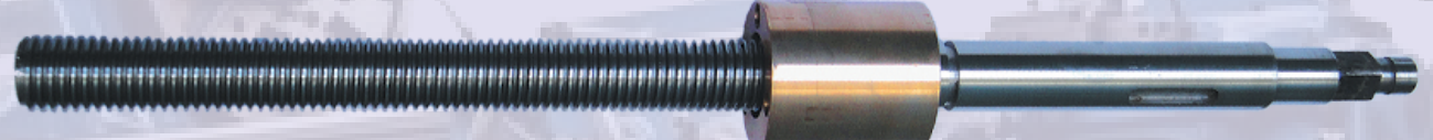 Carriage screw with nut