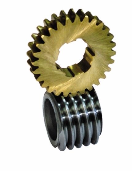 Worm gear